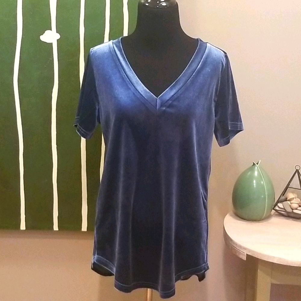 Amaryllis V neck Velvet shirt